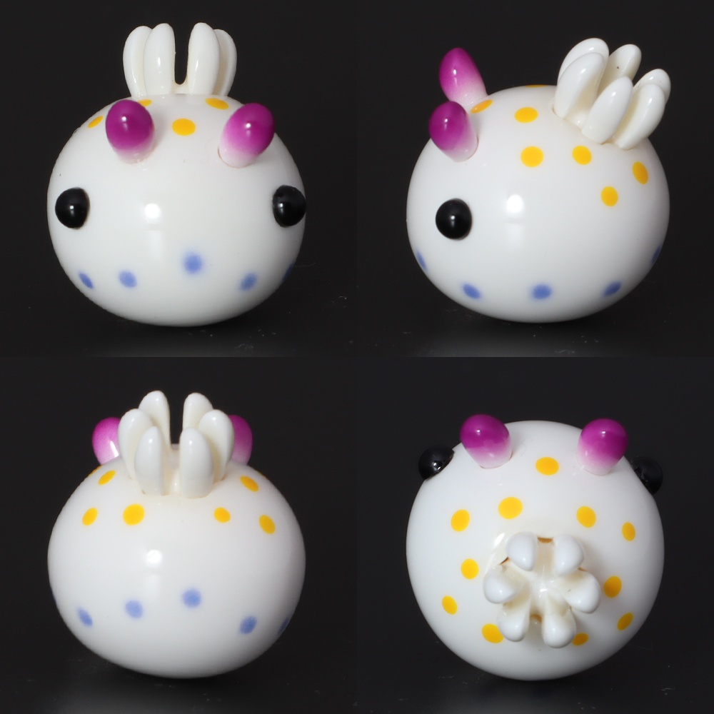 うみうすし マグネット コモンウミウシ/ヒメコモンウミウシ