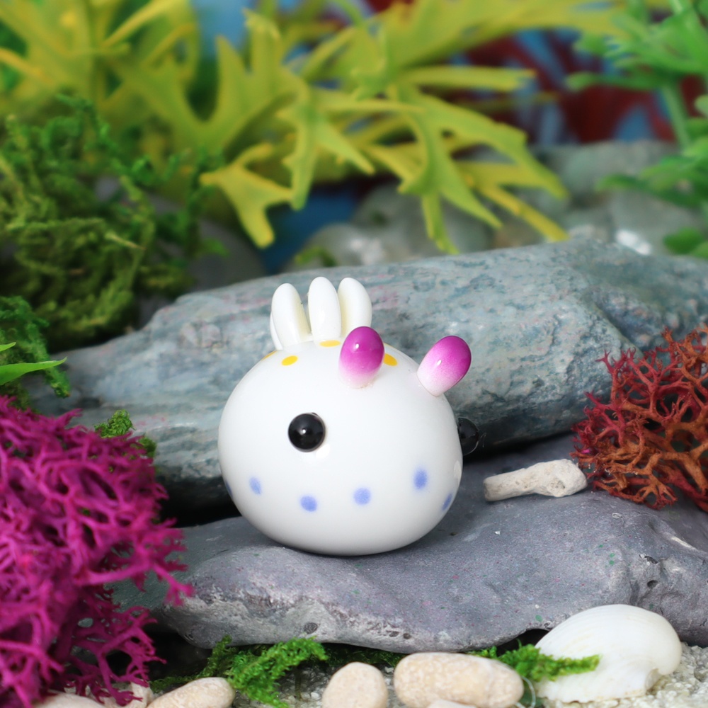 うみうすし マグネット コモンウミウシ/ヒメコモンウミウシ