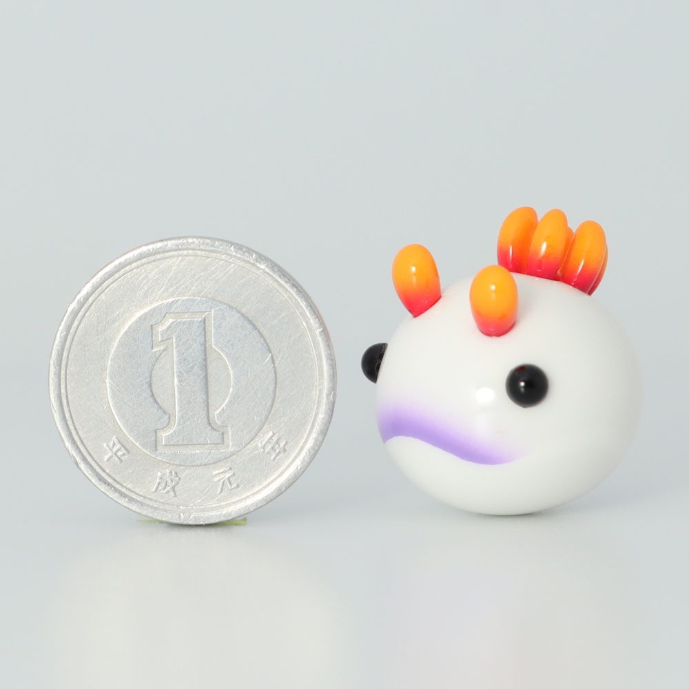 うみうすし マグネット ゾウゲイロウミウシ