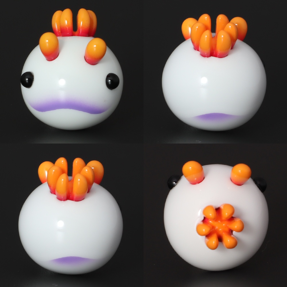 うみうすし マグネット ゾウゲイロウミウシ