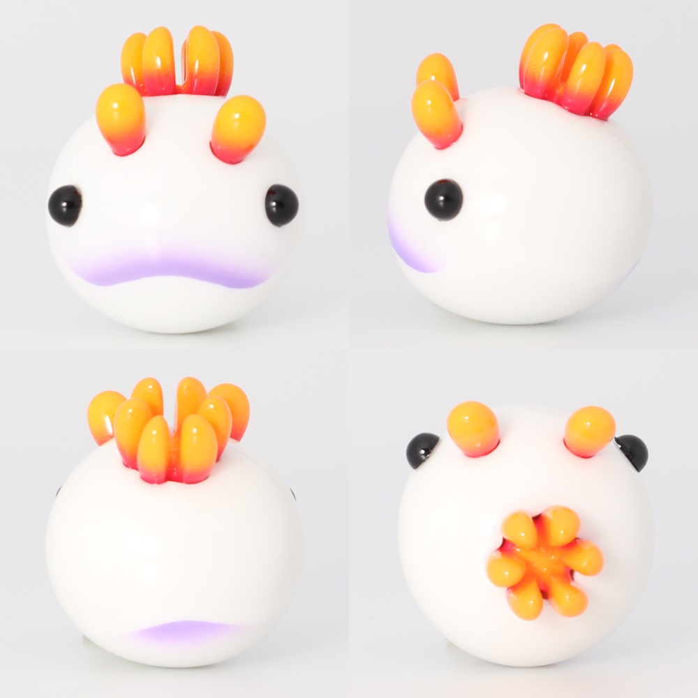 うみうすし マグネット ゾウゲイロウミウシ