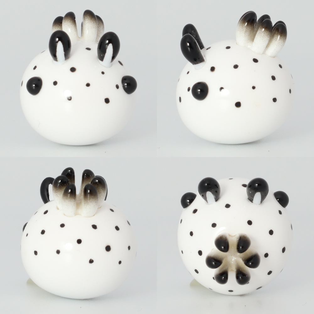 うみうすし マグネット ゴマフビロードウミウシ