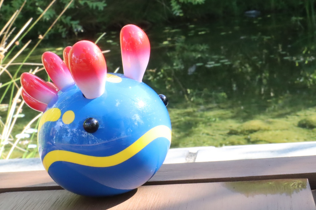 うみうすし フィギュア アオウミウシ