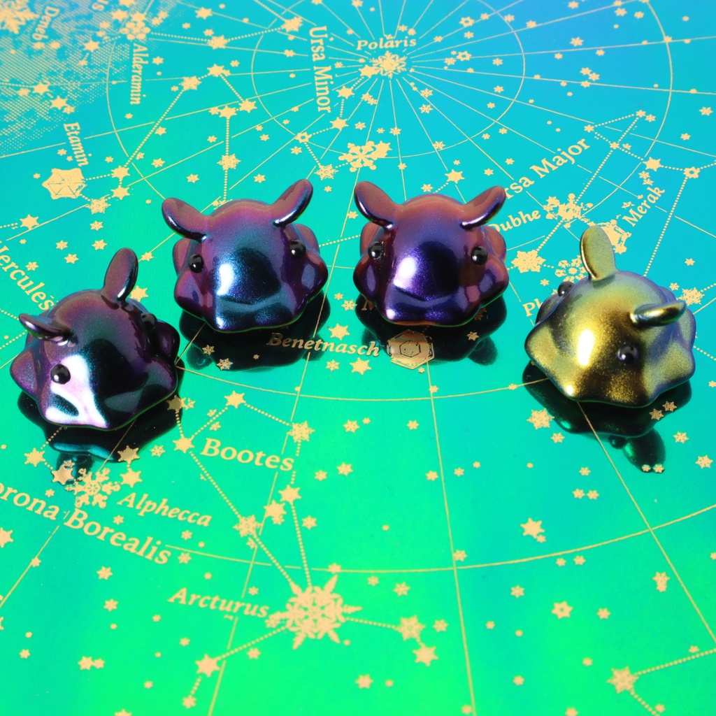 めんだこ マグネット マジョーラ