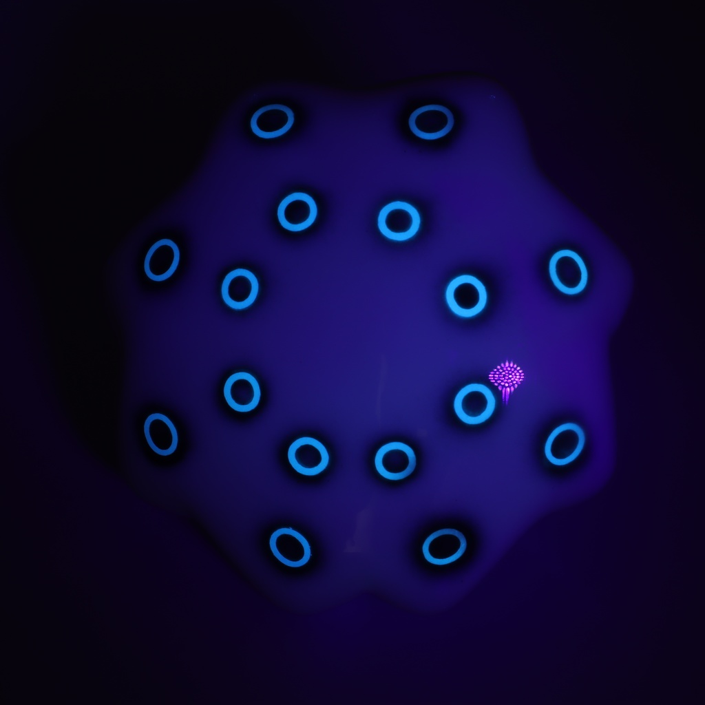 めんだこ フィギュア ヒョウモンめんだこ