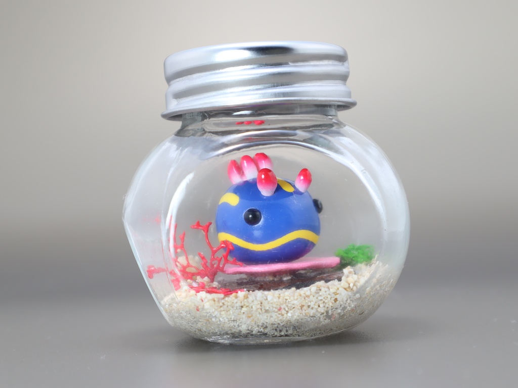 【うみうすし】瓶詰めヴィネット テーブルサンゴxアオウミウシ