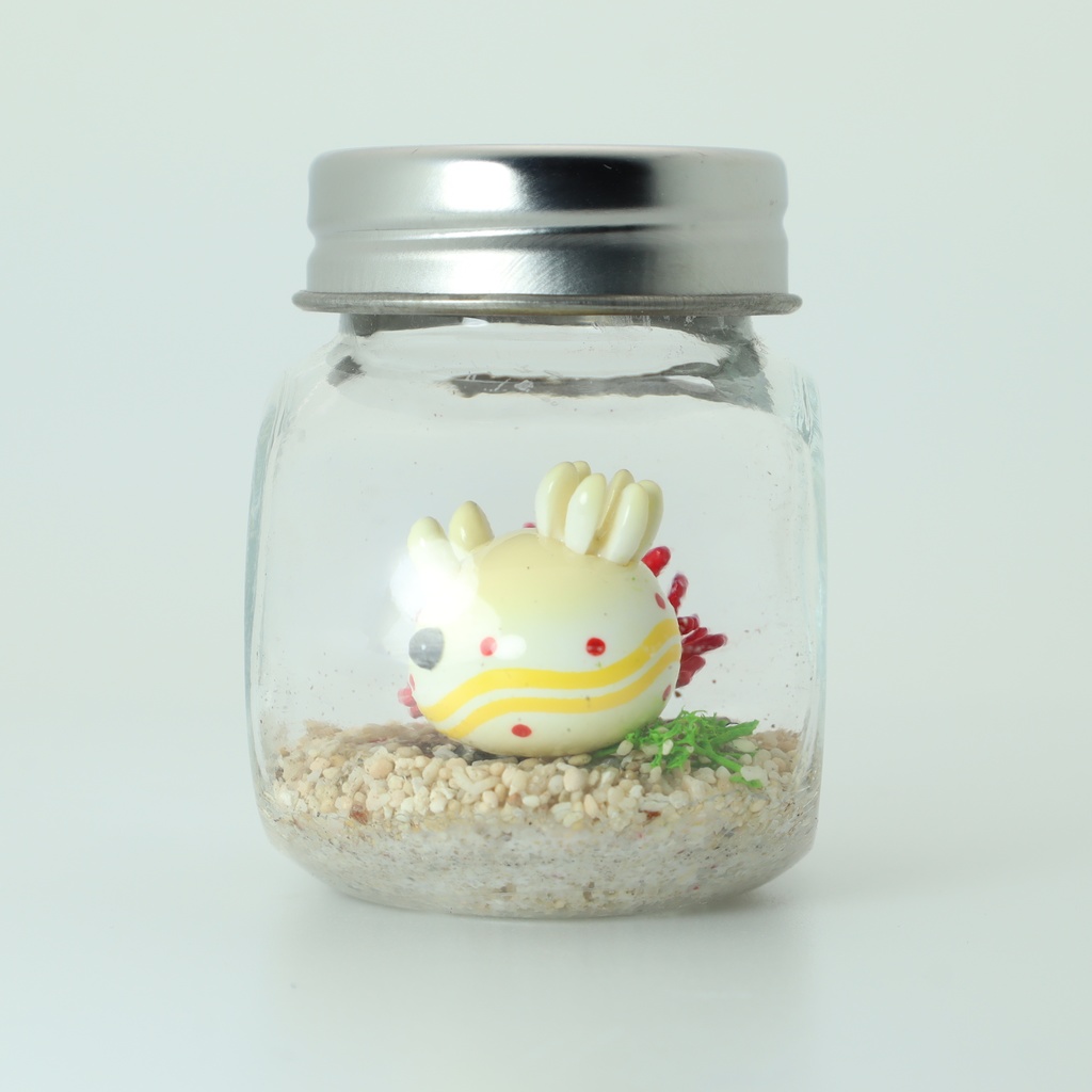 【うみうすし】瓶詰めヴィネット 枝珊瑚xアカテンイロウミウシ