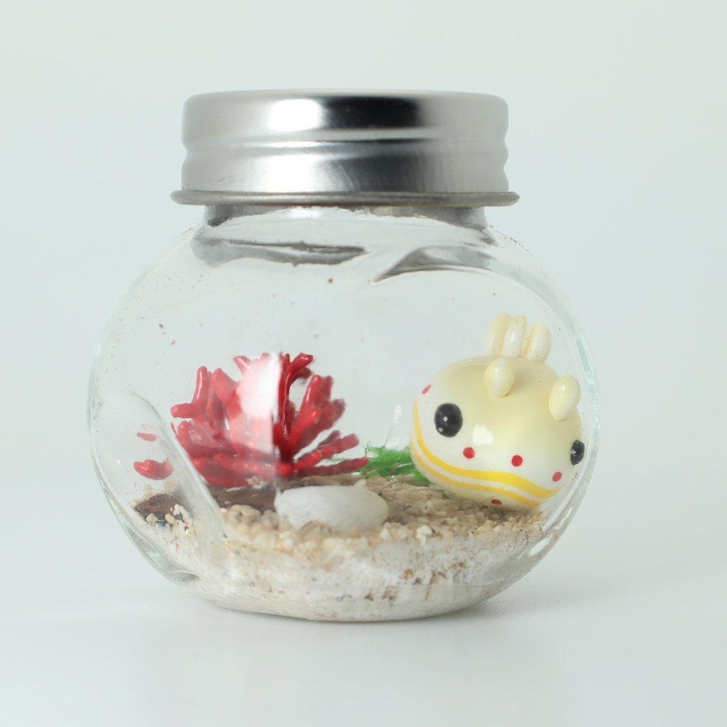 【うみうすし】瓶詰めヴィネット 枝珊瑚xアカテンイロウミウシ