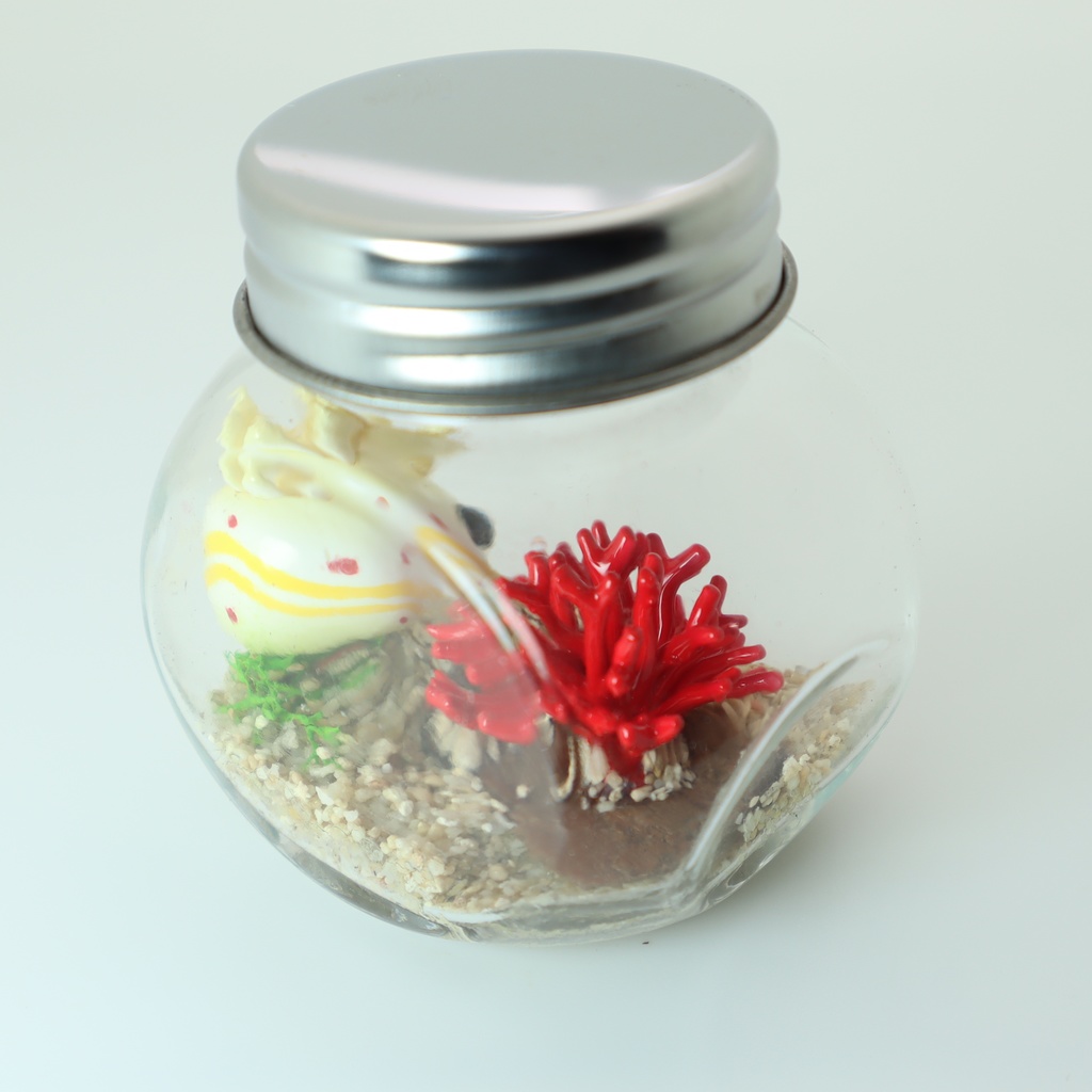 【うみうすし】瓶詰めヴィネット 枝珊瑚xアカテンイロウミウシ