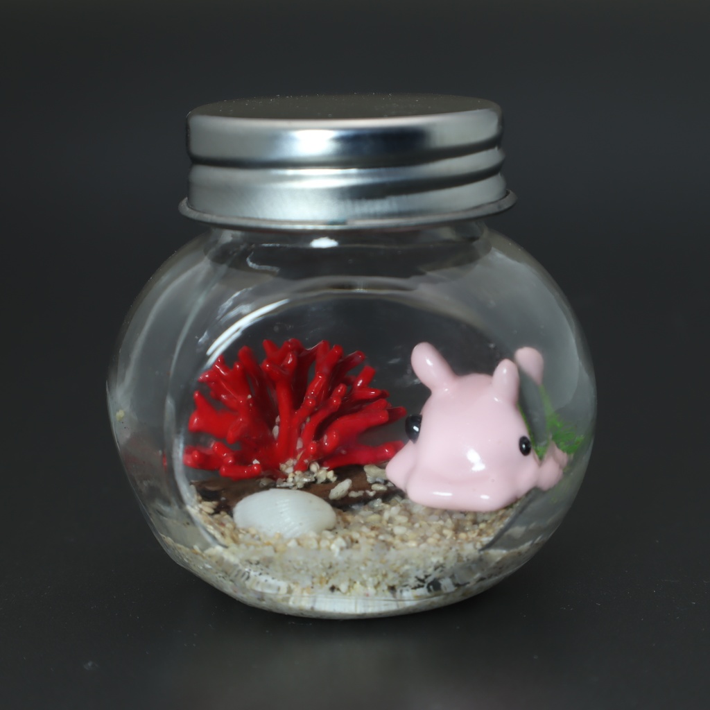 【はるどりめんだこ】瓶詰めヴィネット 枝サンゴxパールメンダコ