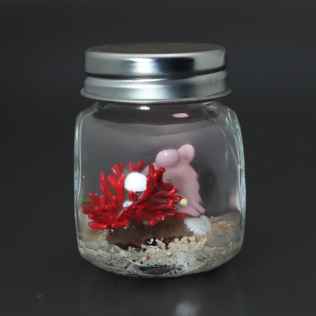 【はるどりめんだこ】瓶詰めヴィネット 枝サンゴxパールメンダコ