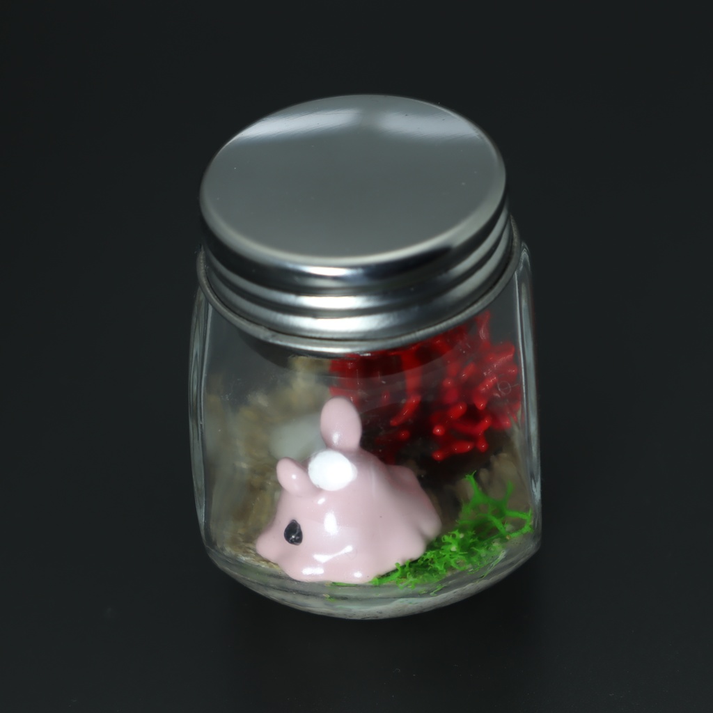 【はるどりめんだこ】瓶詰めヴィネット 枝サンゴxパールメンダコ