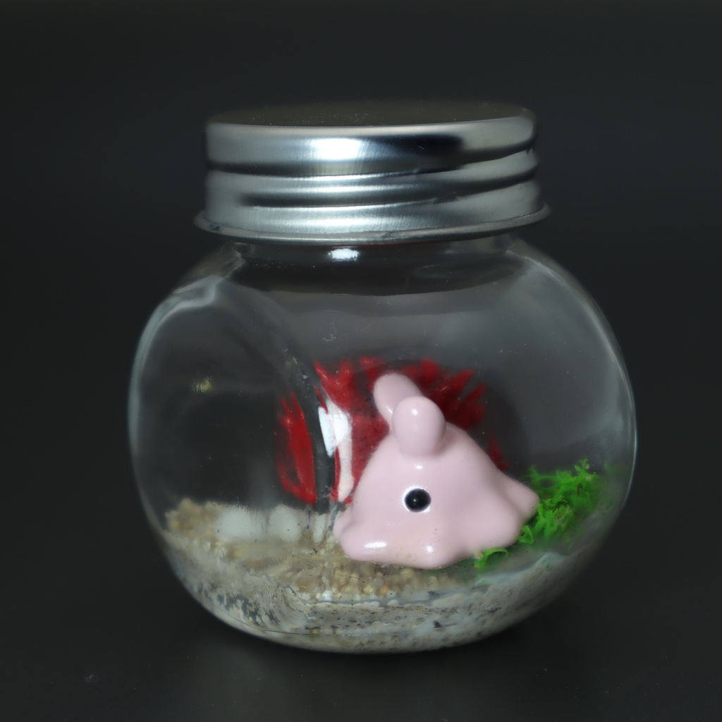 【はるどりめんだこ】瓶詰めヴィネット 枝サンゴxパールメンダコ