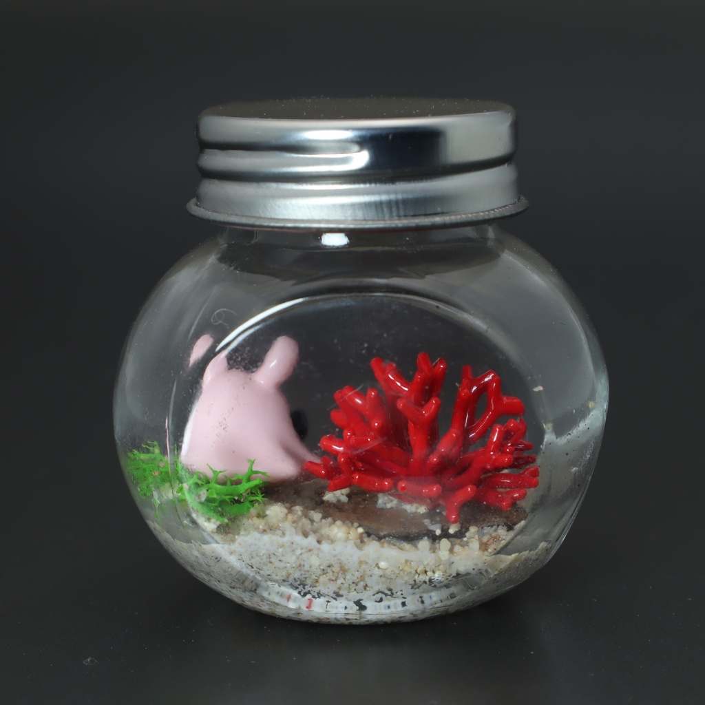 【はるどりめんだこ】瓶詰めヴィネット 枝サンゴxパールメンダコ