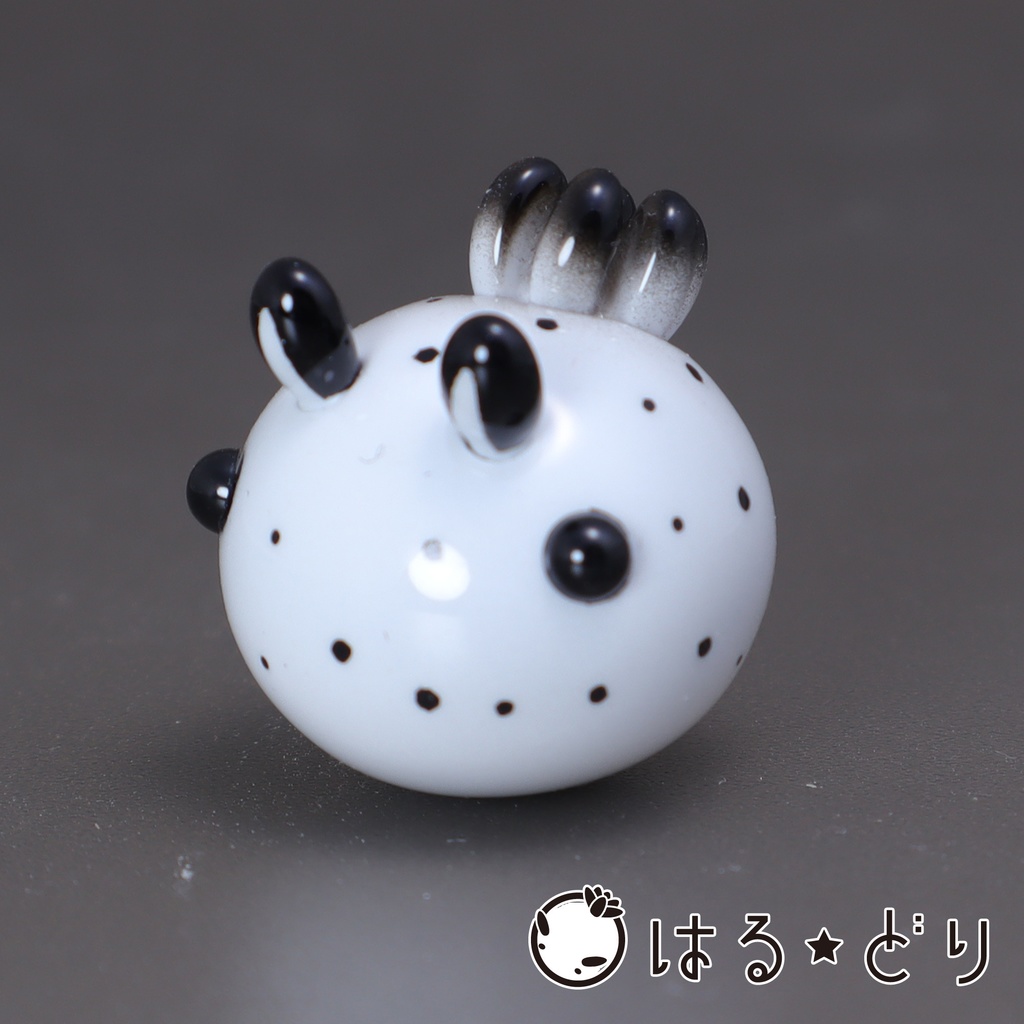 ゴマフビロードウミウシ マグネット【うみうすし】