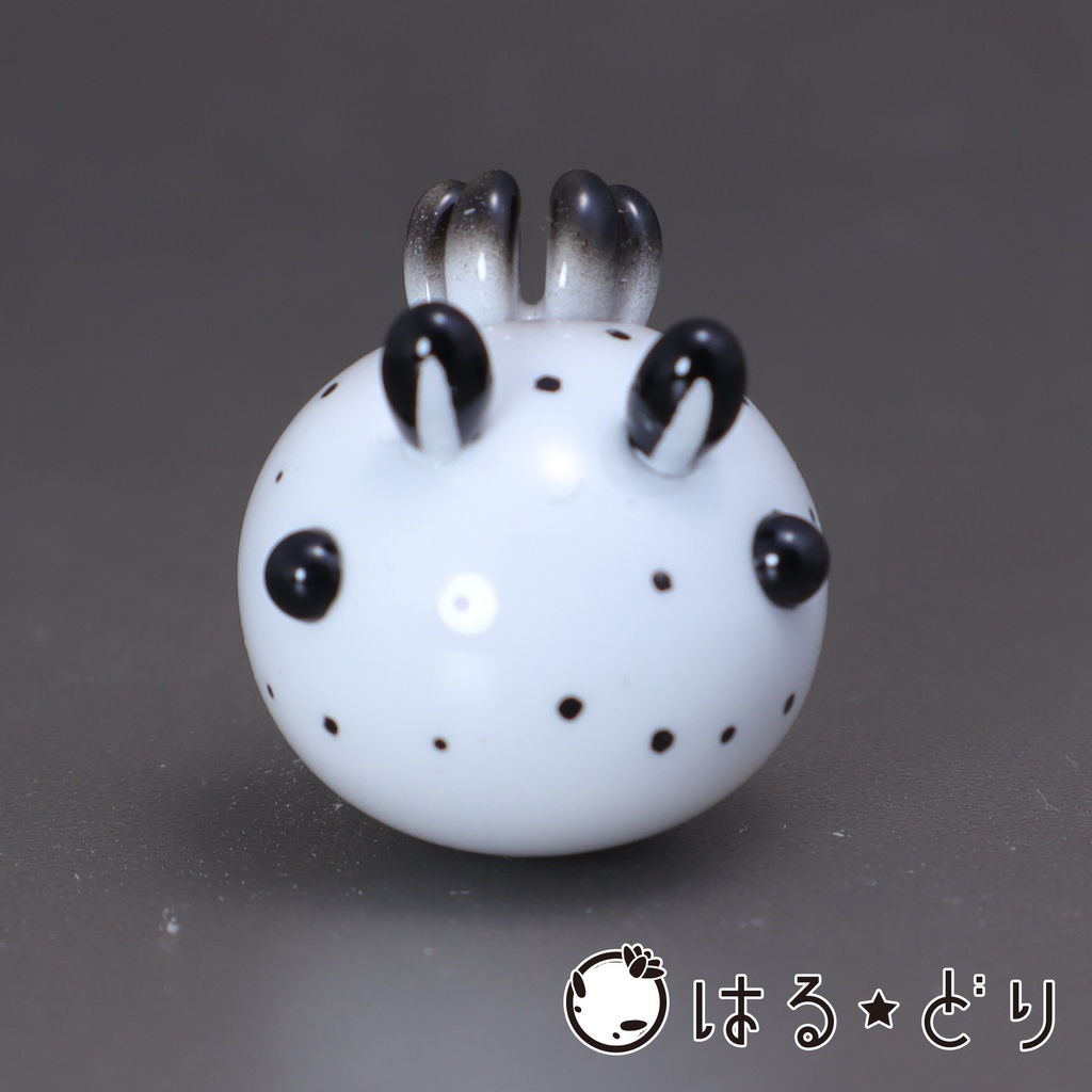 ゴマフビロードウミウシ マグネット【うみうすし】