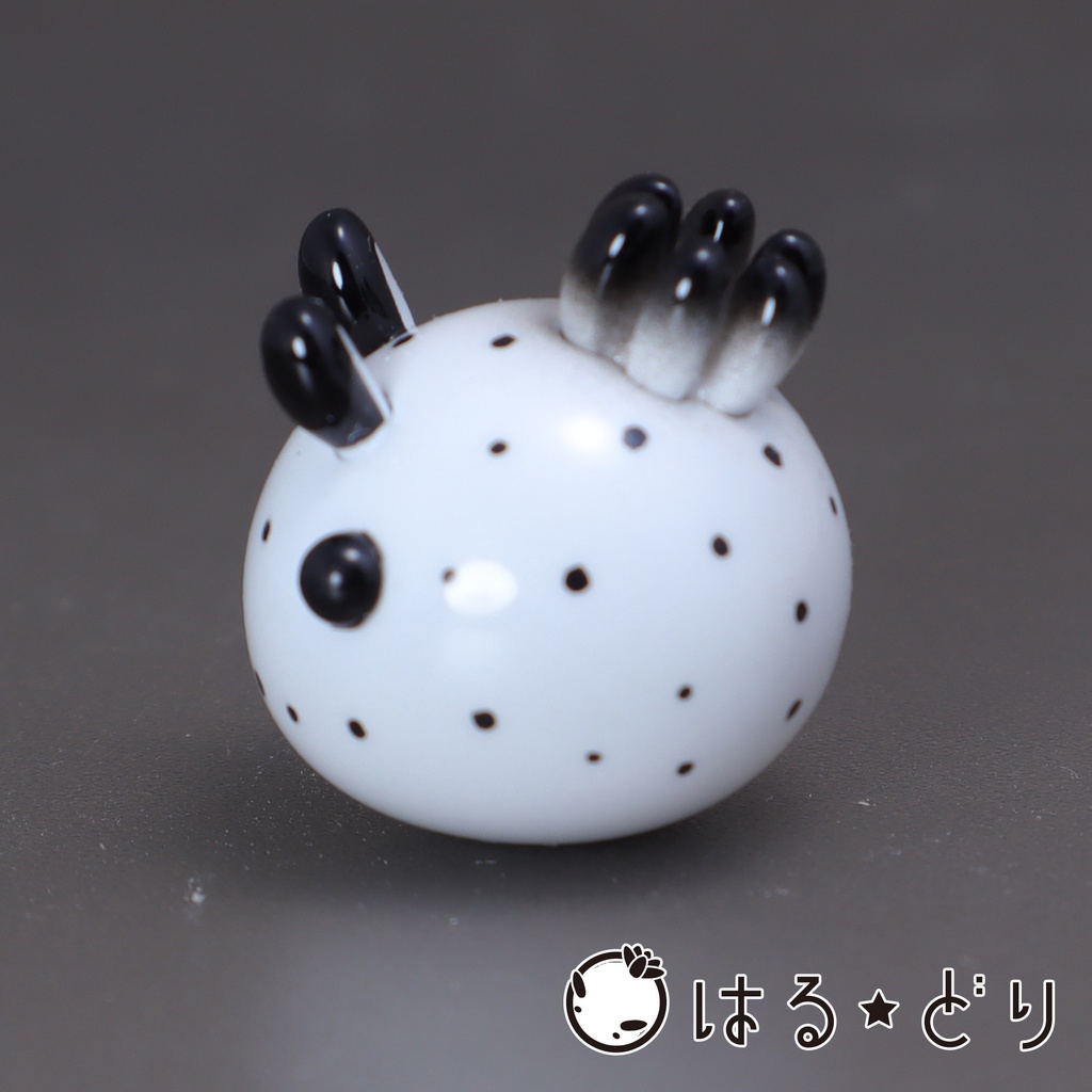 ゴマフビロードウミウシ マグネット【うみうすし】