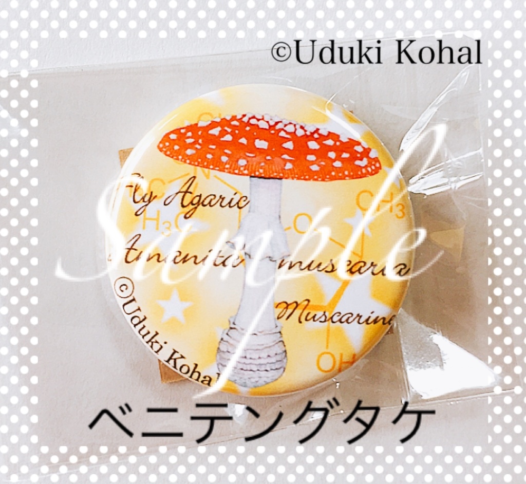 図鑑のような缶バッチ（キノコ）