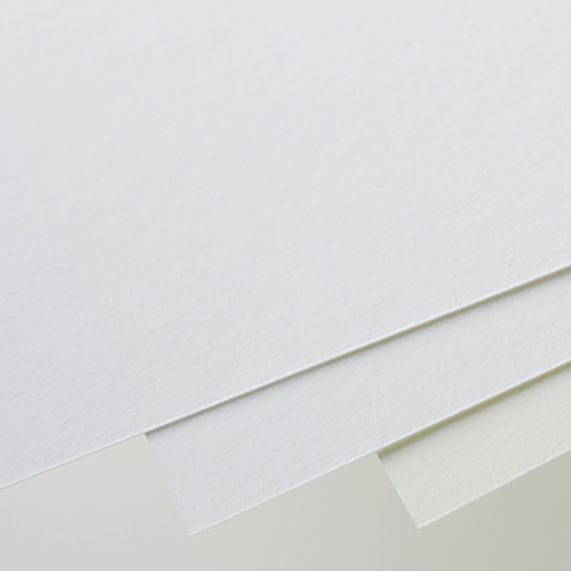 コリウスとサンキライの秋アレンジのポストカード