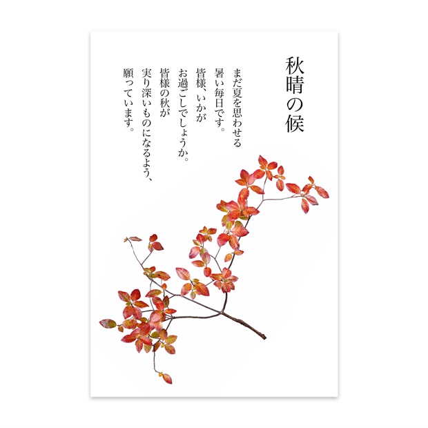 秋の紅葉ハガキ137ポストカード(10枚セット) - ヴァンヌーボVGスノーホワイト195kg