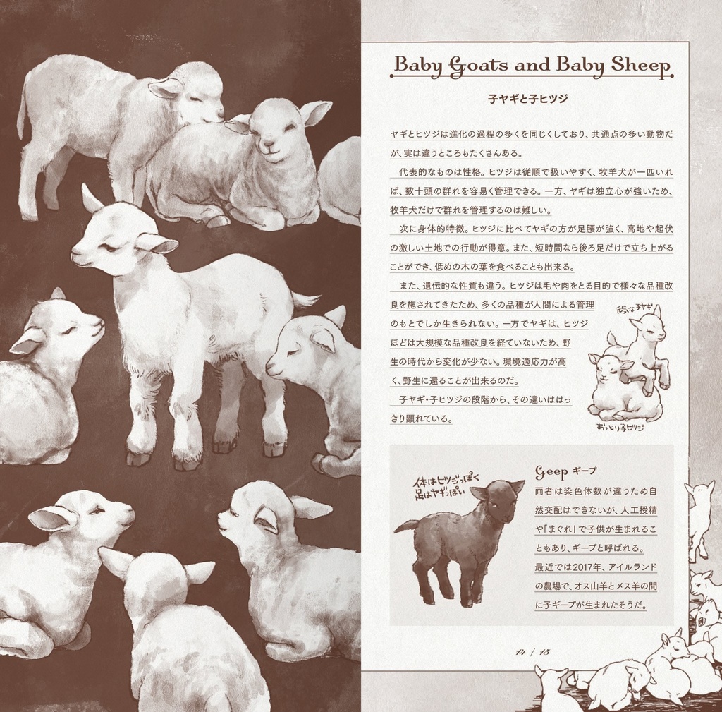 子ヤギについての自由研究