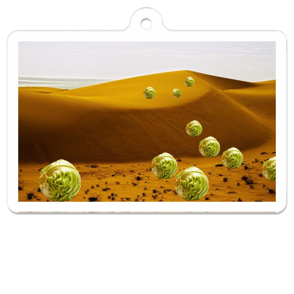 砂漠に転がるレタス