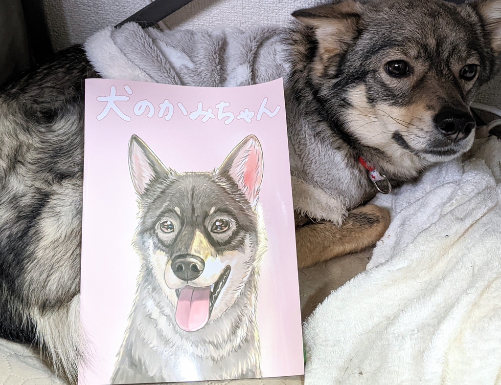 犬のかみちゃんの本