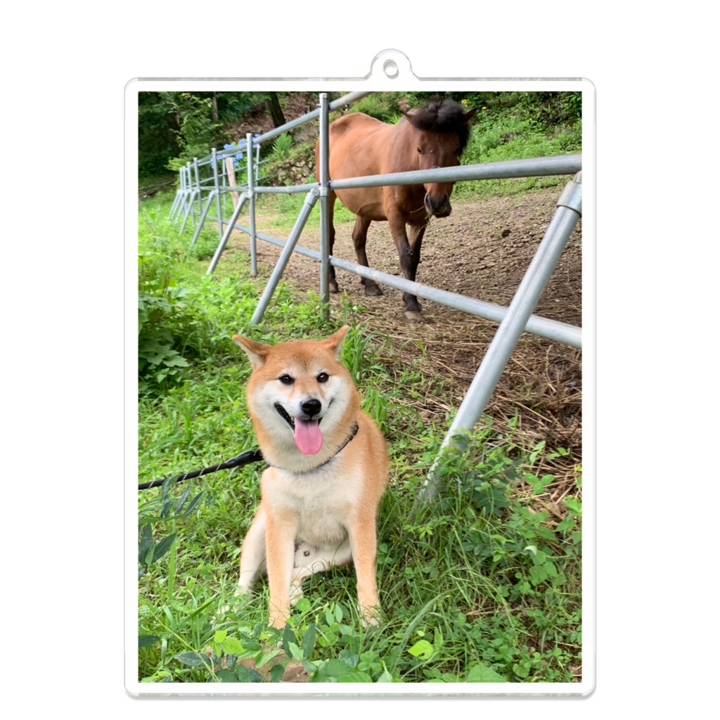 シナモンと旅の思い出