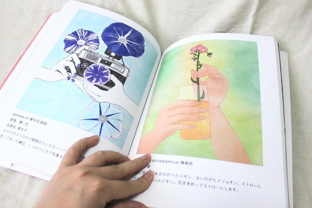 一日一手一花 イラスト集