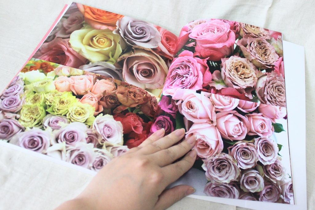 一日一手一花 イラスト集