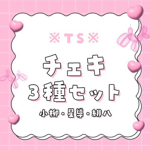 TSチェキセット