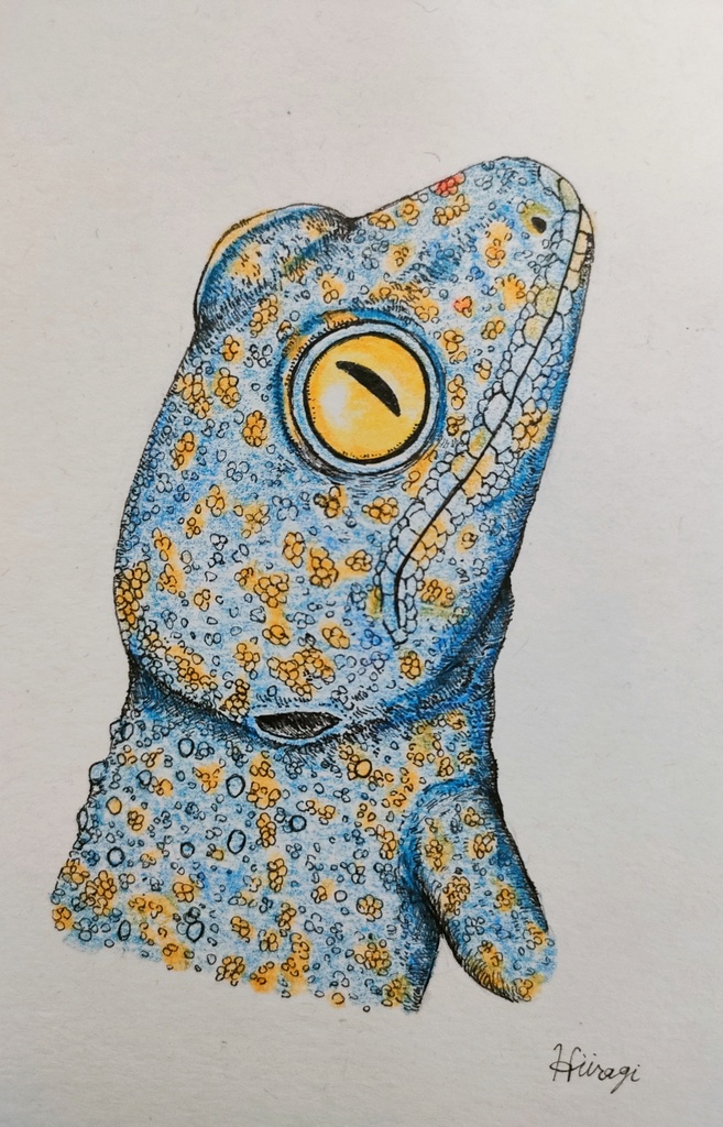 原画　トッケイ