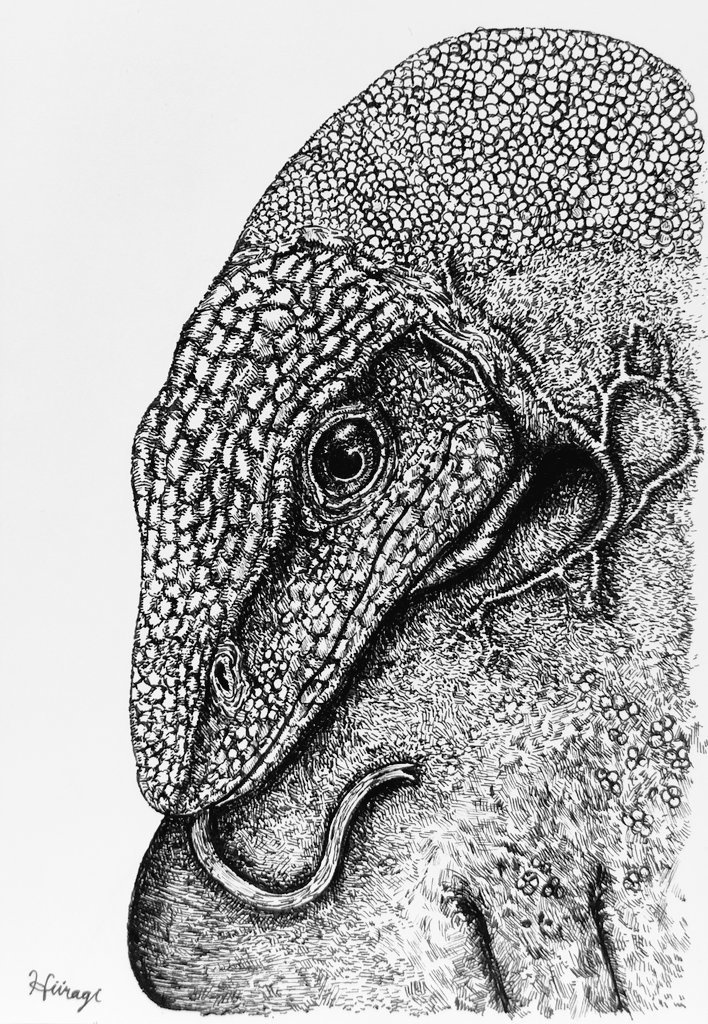 原画　ブラックツリーモニター