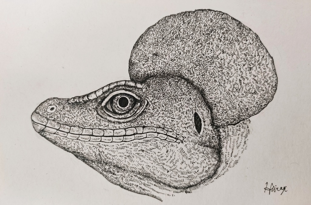 原画　ギザギザバシリスク