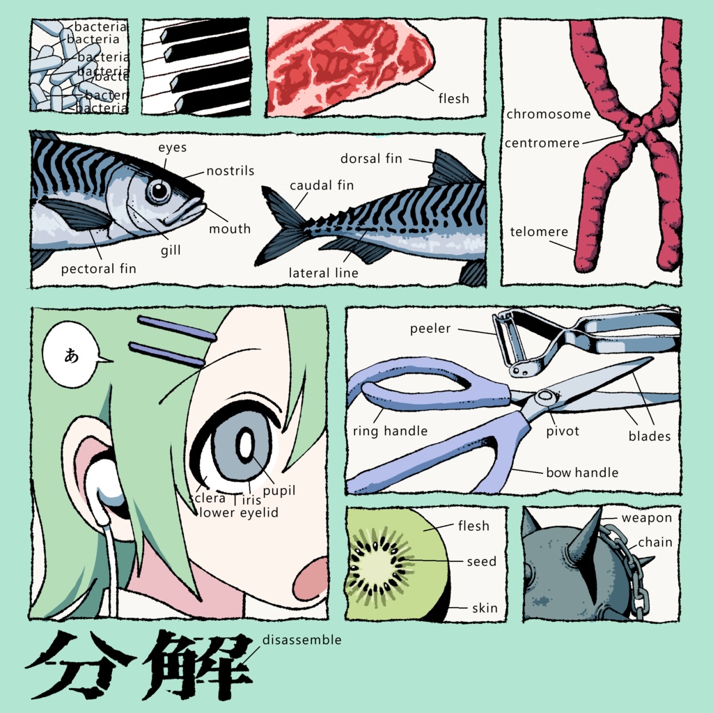1st EP「分解」