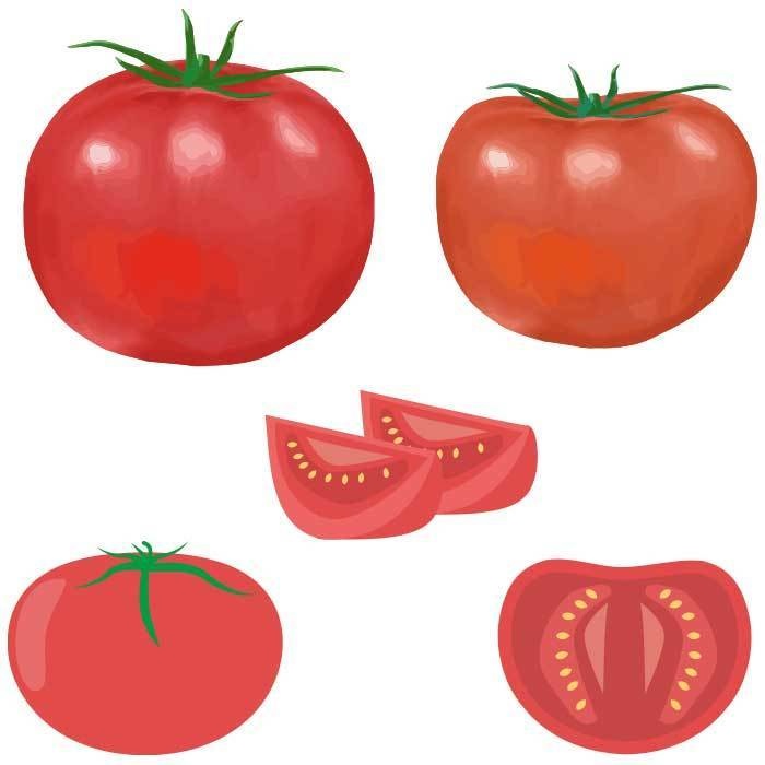 トマトのベクターイラストセット