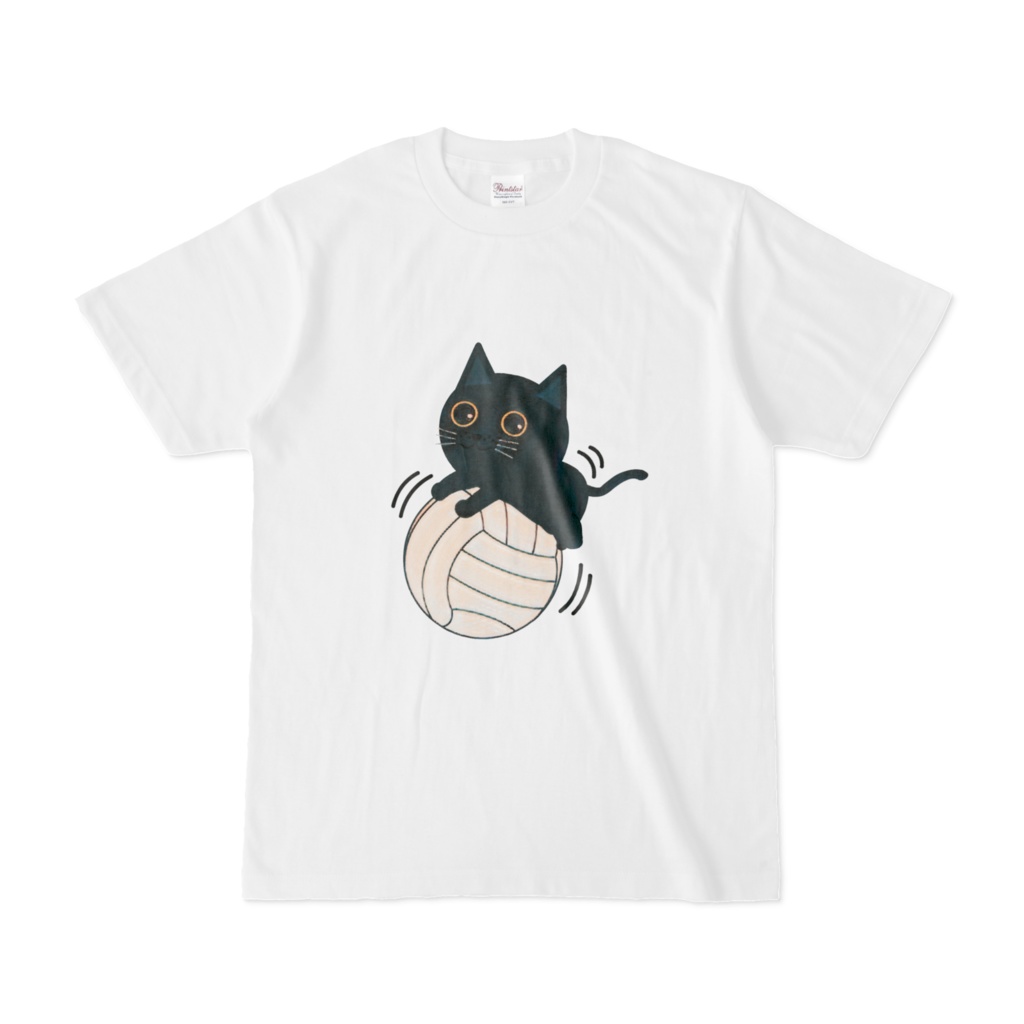 バレーボールに乗る猫