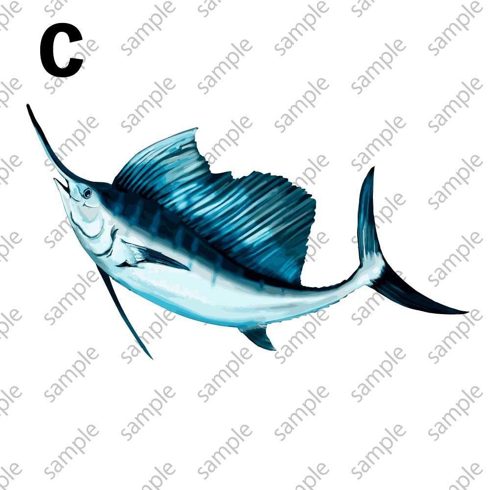 リアルなカジキマグロの高解像度PNG(背景透過)素材