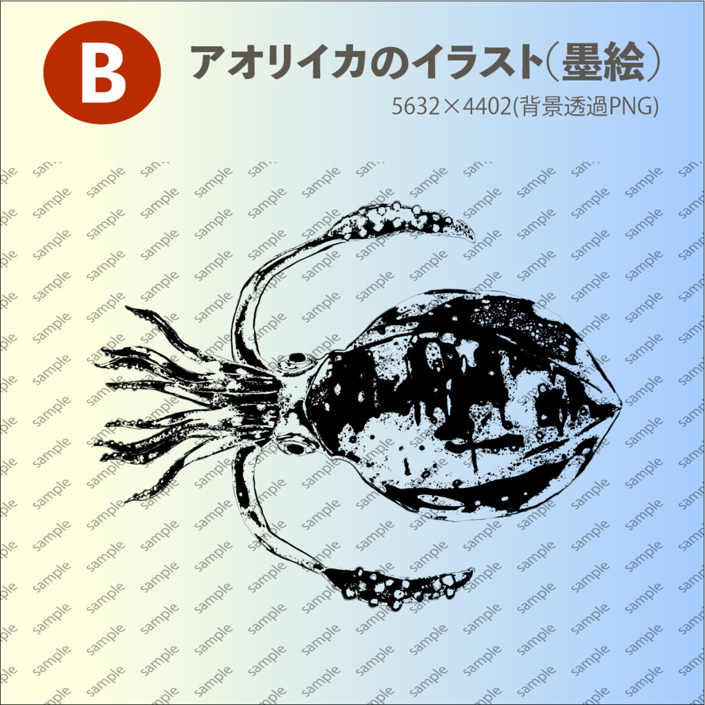 アオリイカのイラスト - 手書きの味のある高解像度 背景透過PNG