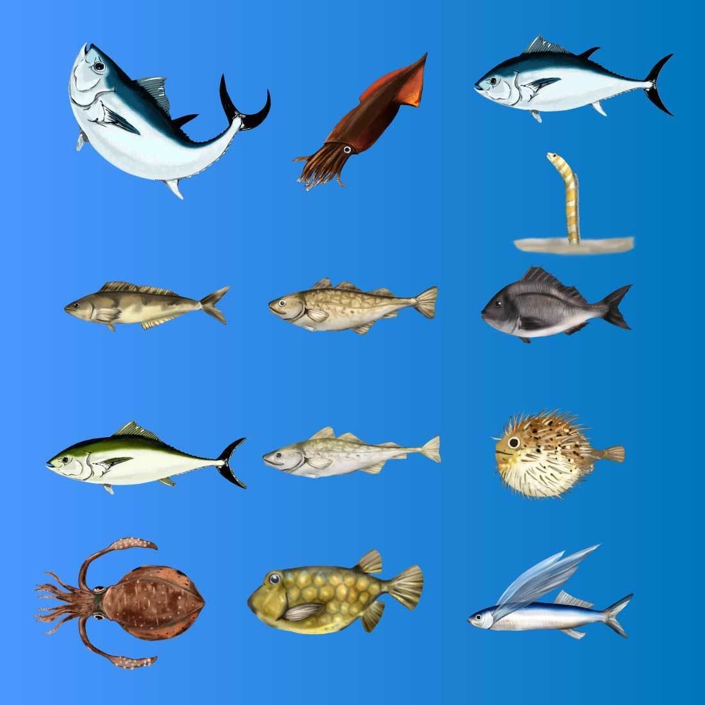 【海の魚セット】37枚の背景透過の魚PNG素材 - 手書き透過イラスト集