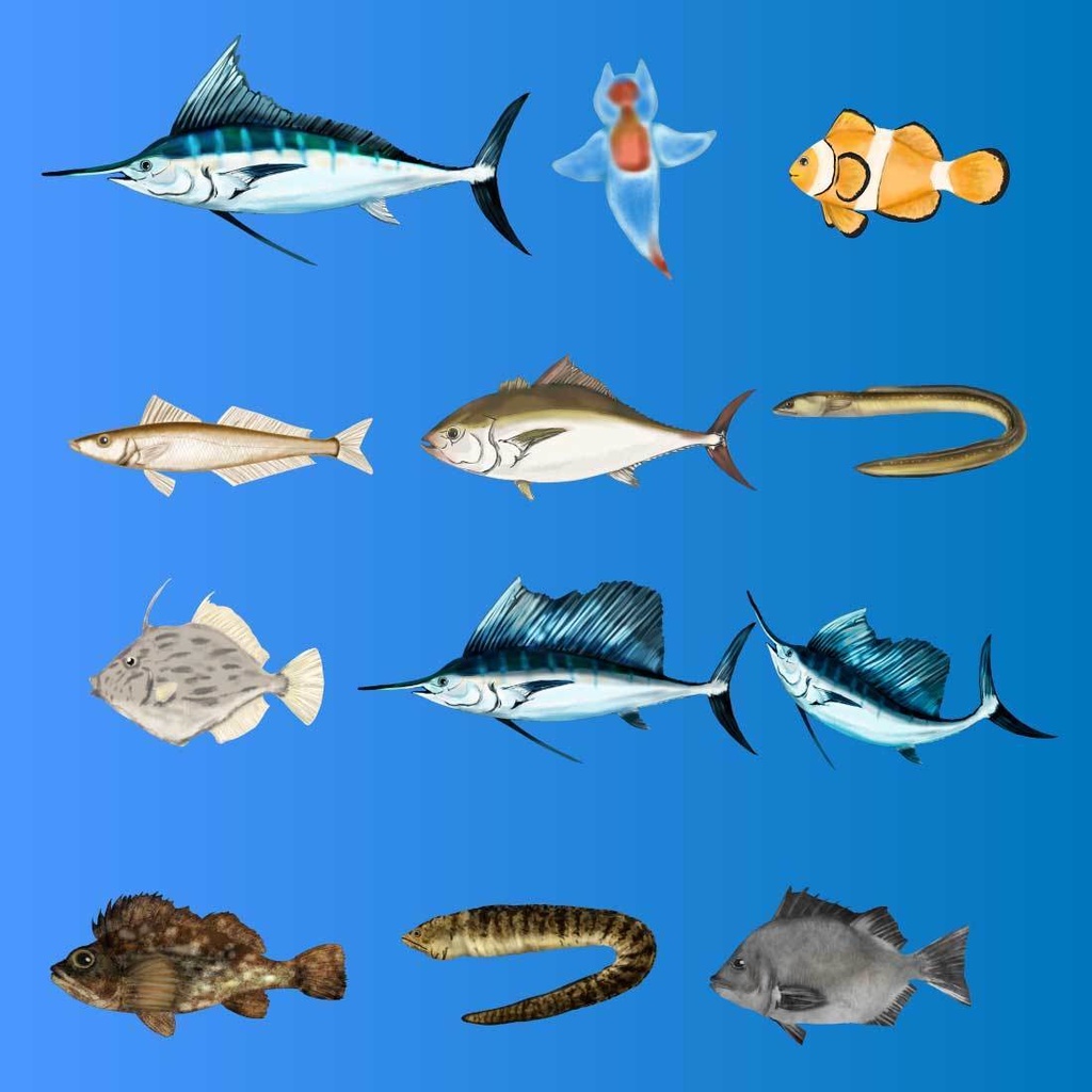 【海の魚セット】37枚の背景透過の魚PNG素材 - 手書き透過イラスト集