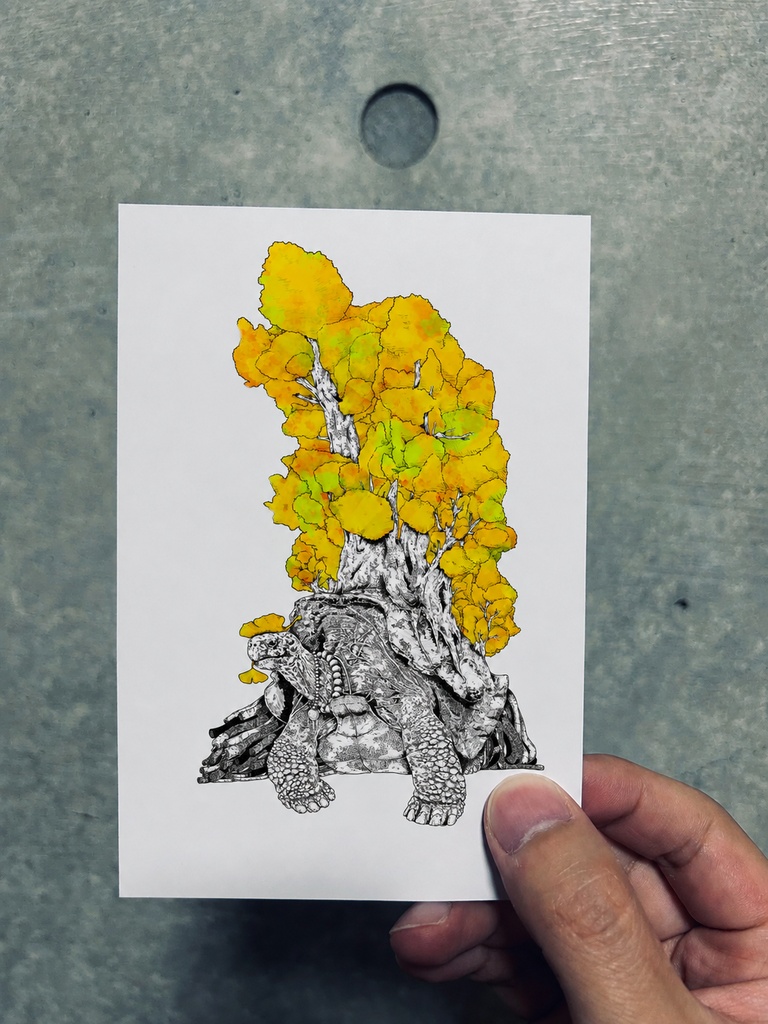 Gingko（ポストカード×５枚）