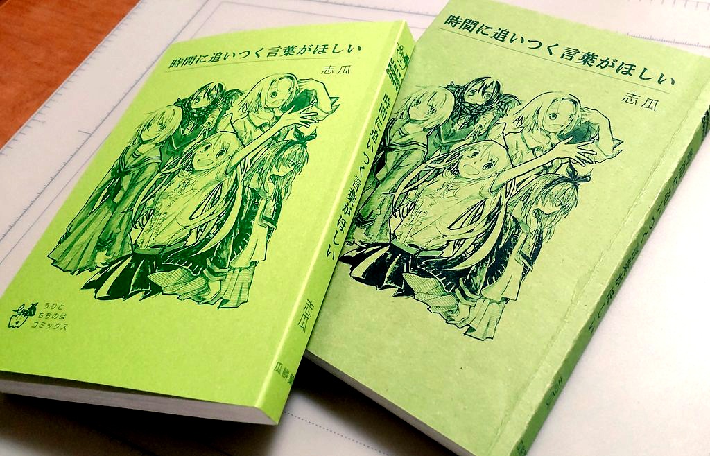 投稿再録本『時間に追いつく言葉がほしい』第2刷