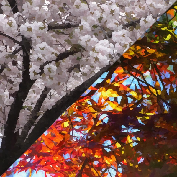 [東方自作アレンジ] 早春　春の湊に