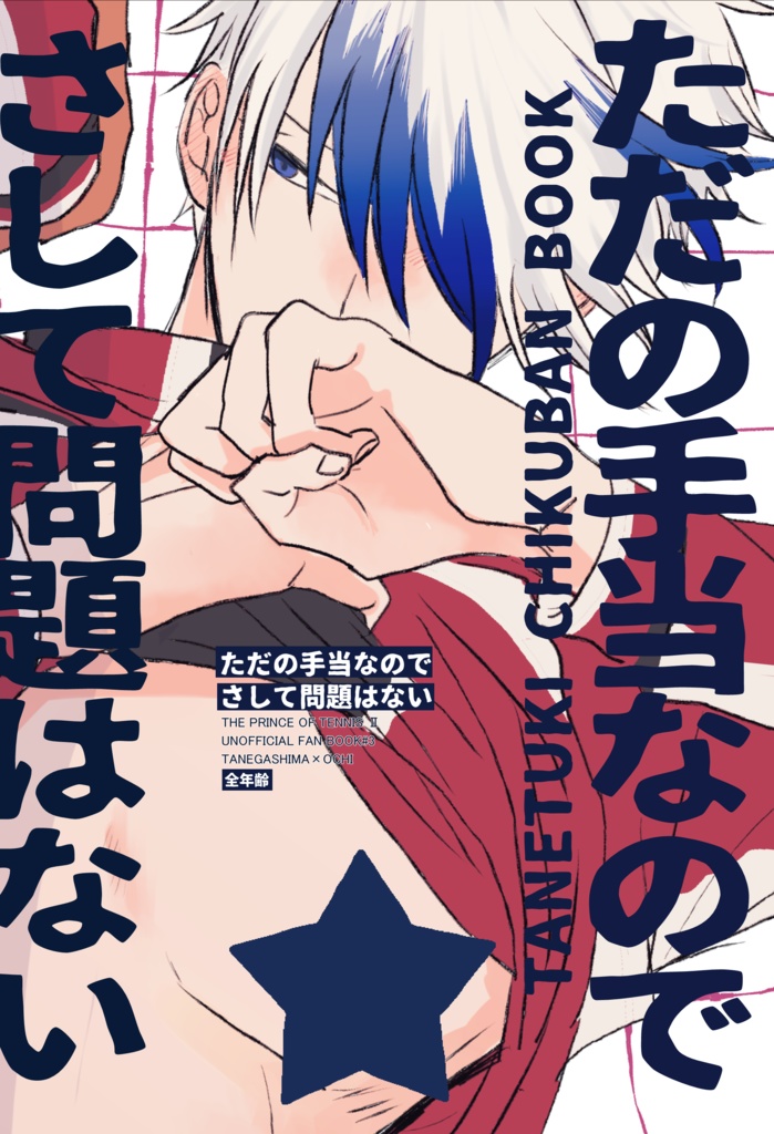 ただの手当なのでさして問題はない