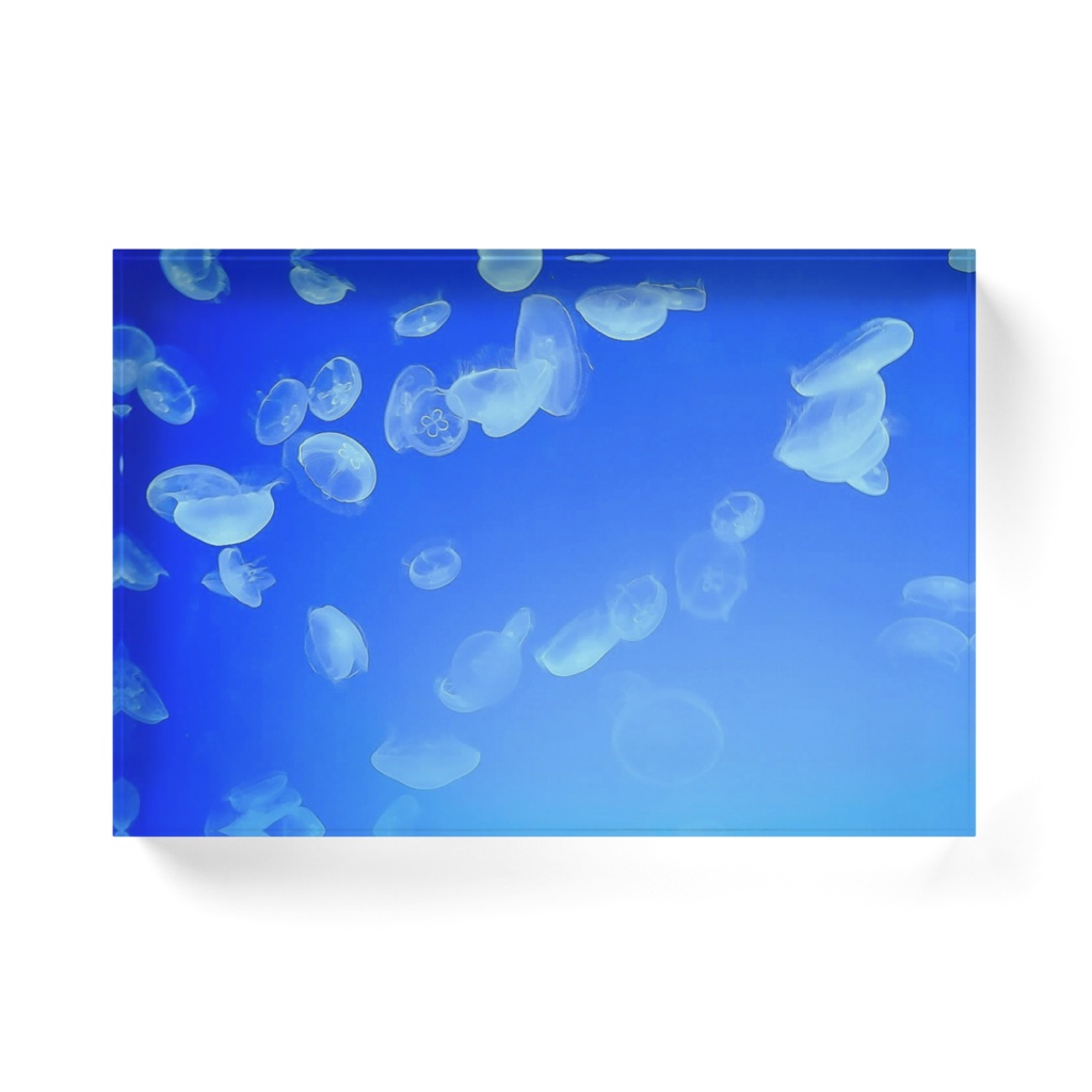 海月様が泳ぐお水槽のおアクリルブロック