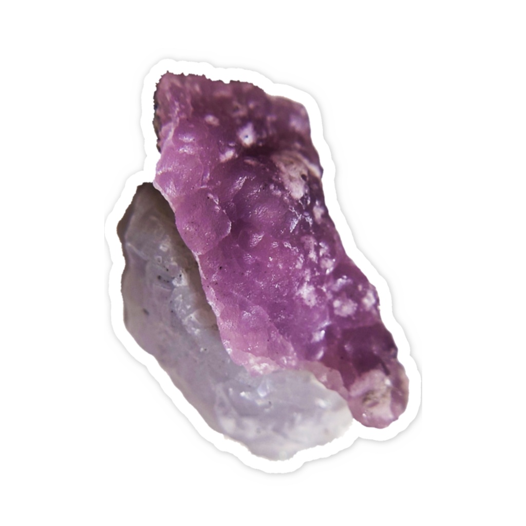 おスミソナイトのお寿司おステッカー写真