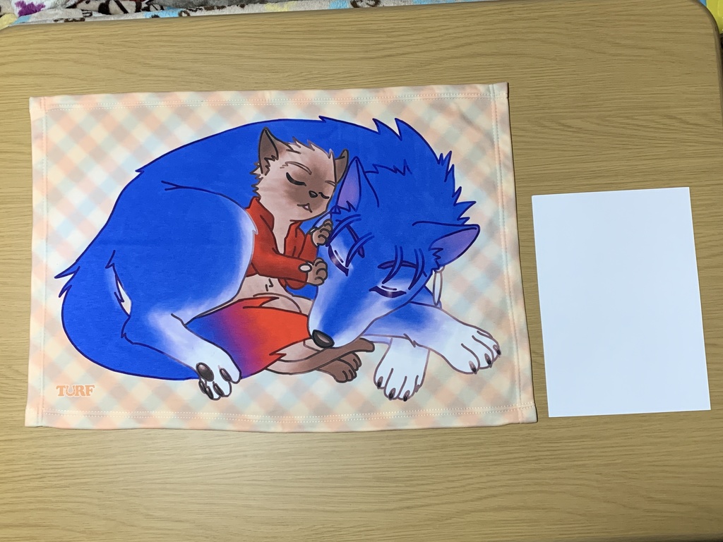 【Fate】ブランケットNo.2【けもおやすみ】