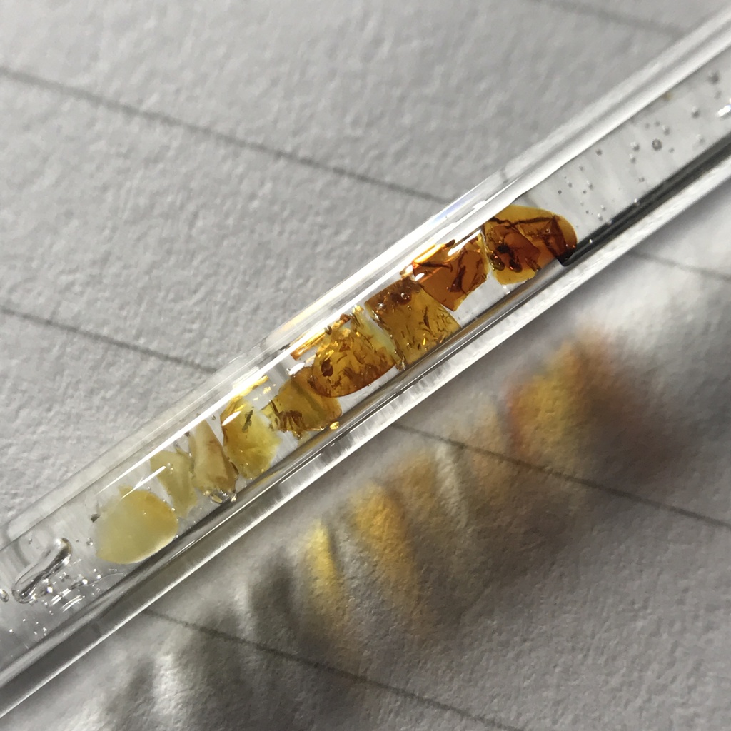 【レビュー用試作品】琥珀入り試験管