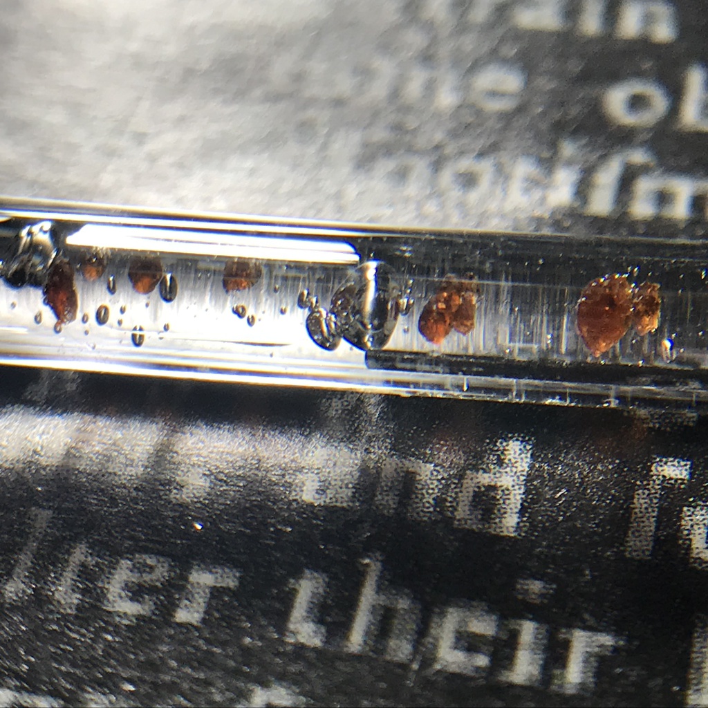 【レビュー用試作品】アルマンディンガーネット入り試験管B